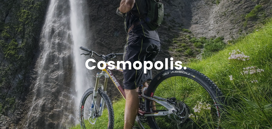 Naminos Elementum Disumos An Cosmo Tincidunts Loremous